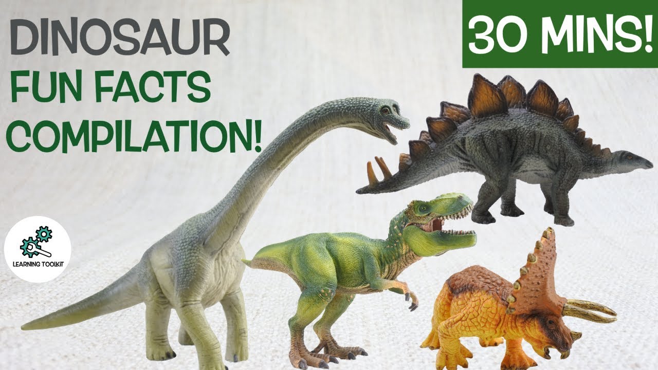 Learn about DINOSAURS! 30 Mins Fun & Educational