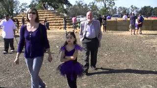 Perry Farms Pumpkin Patch at Ardenwood (08 Oct. 2011; #1)