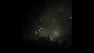 Bright Lights