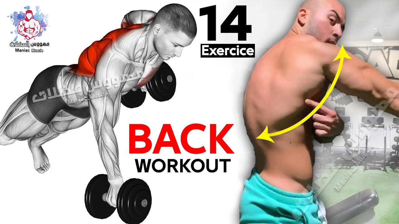 The ONLY 3 Back Exercises You Need for Mass 