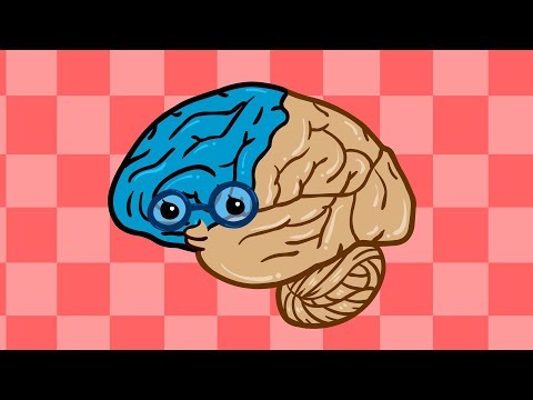 중요한 뇌 | 뇌의 다양한 역할과 기능 | 인체박사★지니키즈