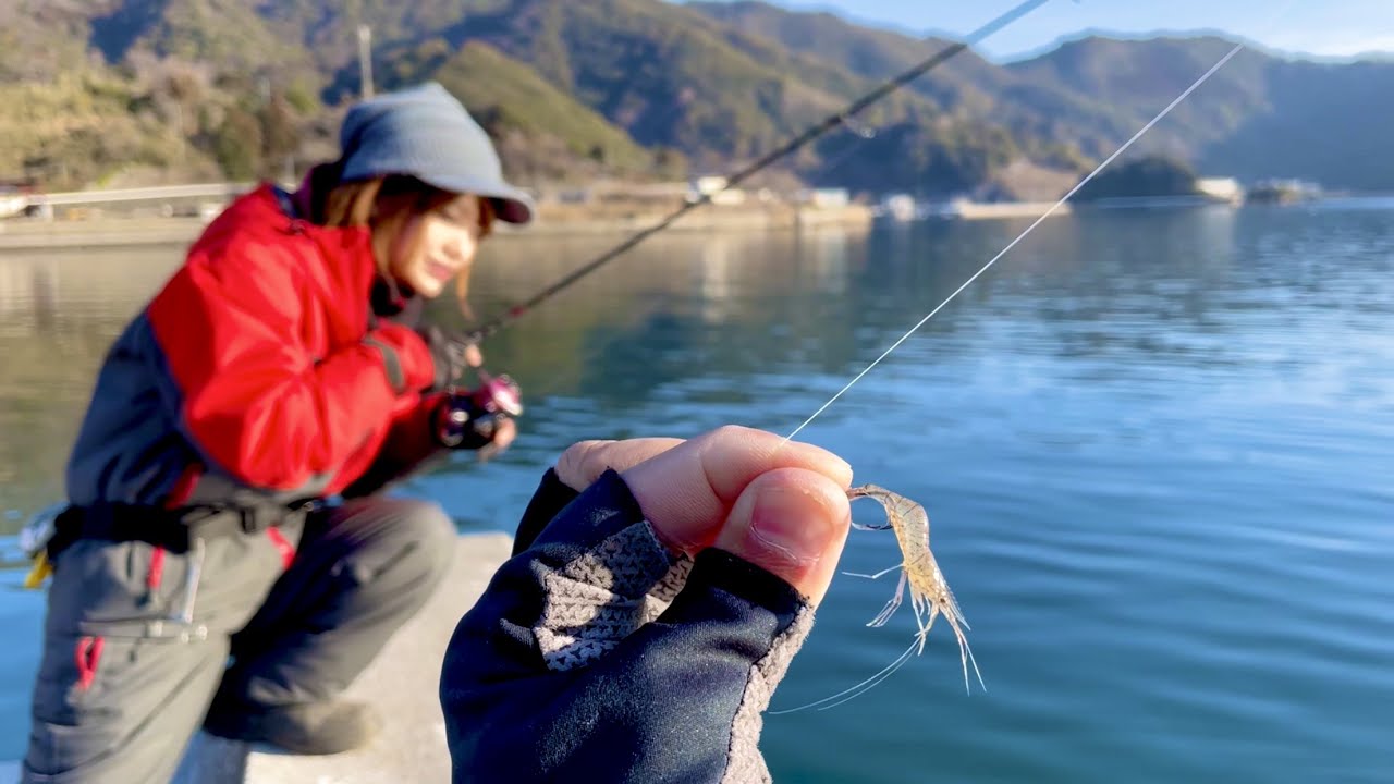 生きたエビを泳がせたら、魚も人もパニックに！（爆釣ｗ）