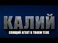 КАЛИЙ: Квантовый МЕТРОНОМ разума. Как металл-ПСИХОПАТ создал твоё сознание? Элемент №19.