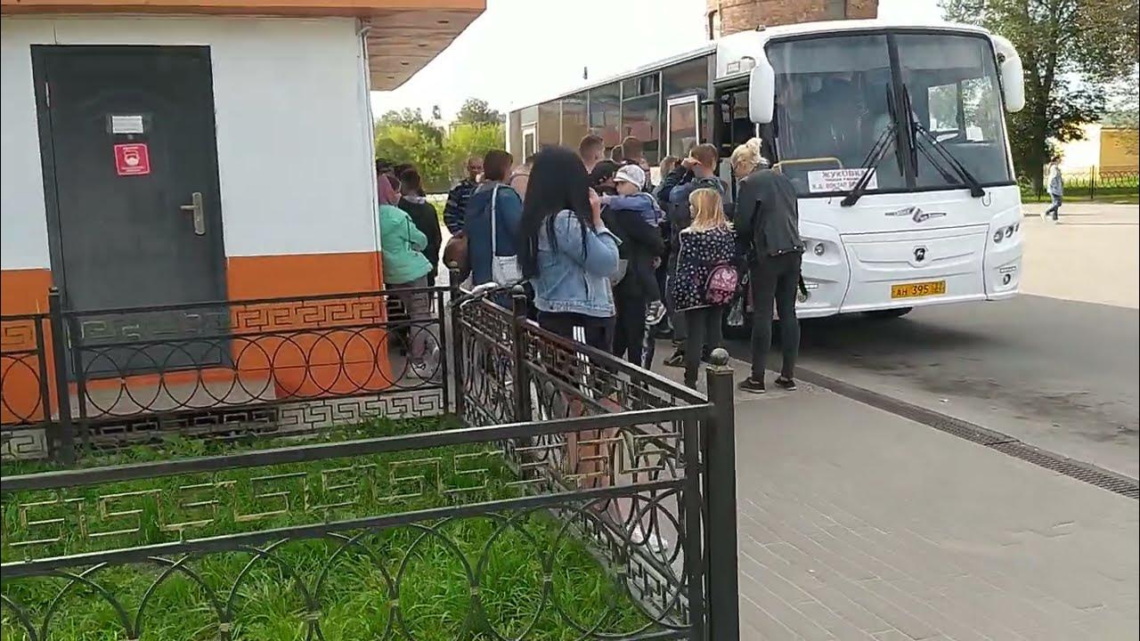 Автобус жуковка брянск завтра