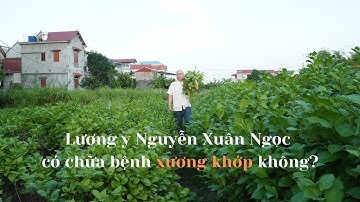 Ngoài nội tiết tố ra, lương y Nguyễn Xuân Ngọc chữa GIỎI về bệnh gì? Thoái hóa xương khớp | Thoát vị
