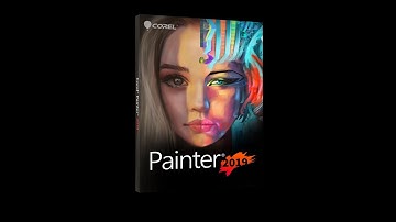 Launch webinar Painter 2019