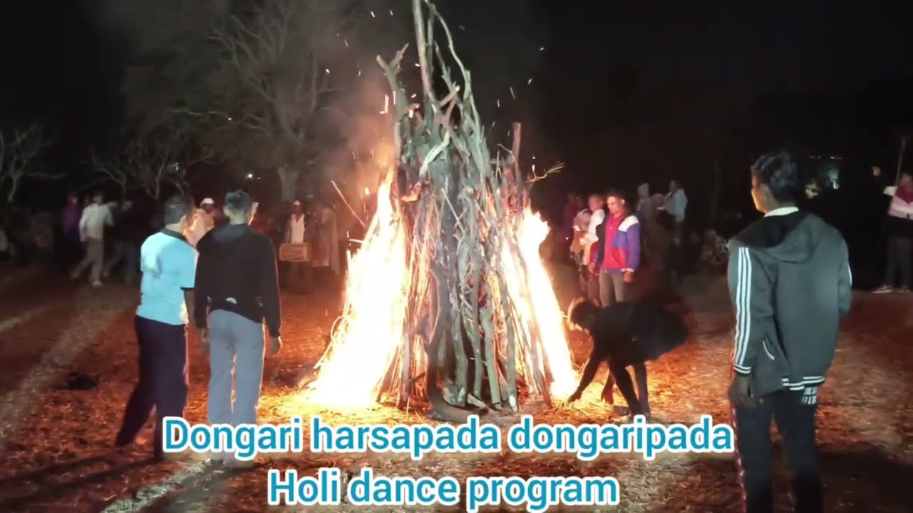 डोंगारी हरसनपाडा//डोंगरिपाडा// होली डान्स 2/03/2025
