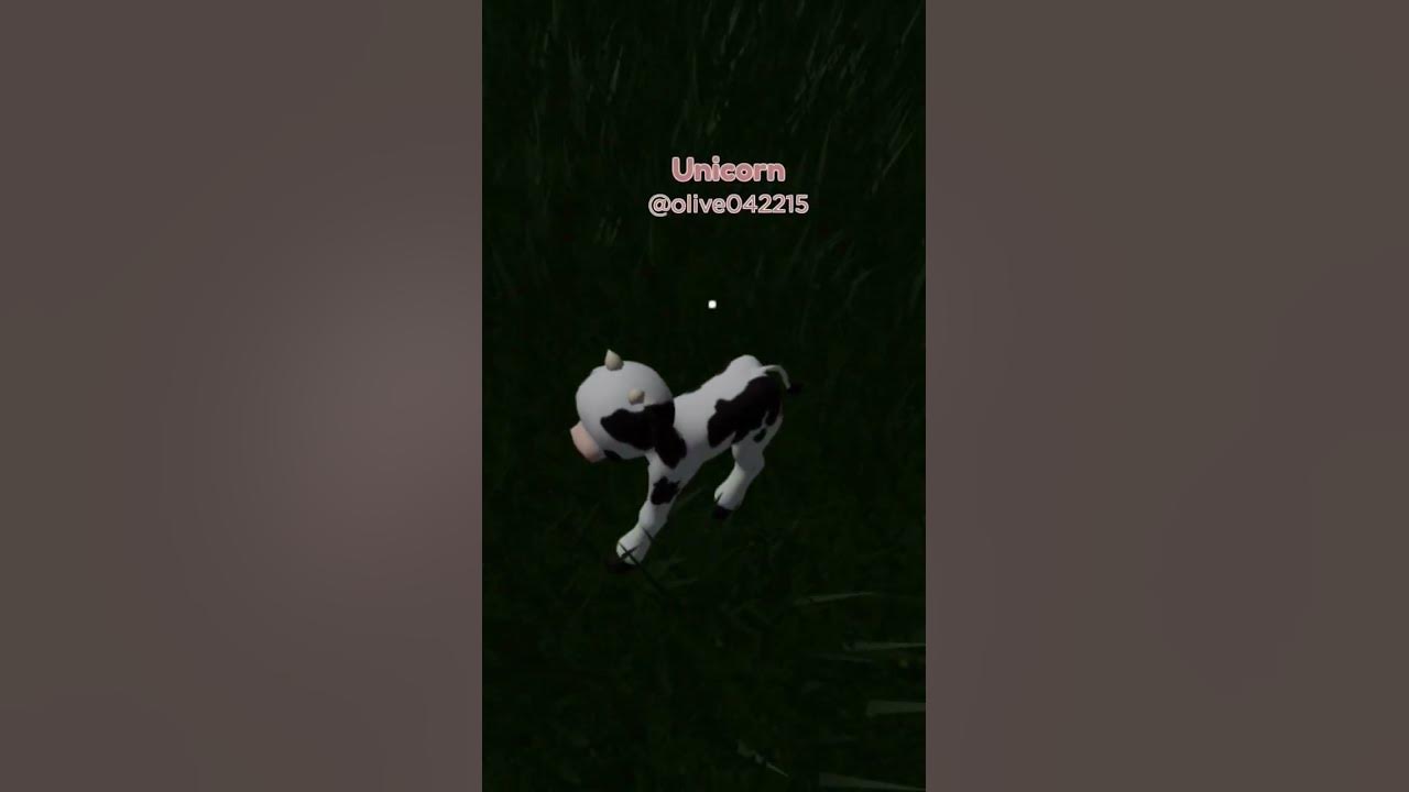 polish cow song (roblox edition)!!! YouTube
