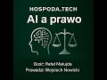 13. Prawo a AI