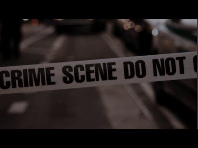 you're investigating the biggest crime scene in a century (a playlist)