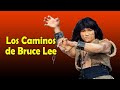 Wu Tang Collection - Los Caminos de Bruce Lee Bruce Lee Ways of Kung Fu