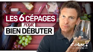 6 Cépages À Connaître ABSOLUMENT Pour Débuter Dans Le Vin