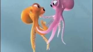 Vinicio Capossela -  Polpo d'Amor