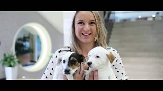 VetCo Conference 2019 - Small Animal Cardiology