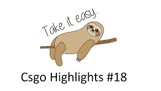 Take it ez dude | Csgo Highlights #18