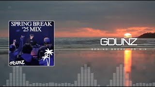 SPRING BREAK '25 MIX (GDUNZ) *FULL HOUR LONG*
