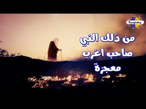 تعرف على النبي صاحب اغرب معجزة الذى لا يعلمه الا القليل