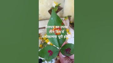 बेलपत्र और लाल चंदन का उपाय/तीन दिन में मनोकामना पूर्ति #pradeepmishra #shorts #mahadev #short