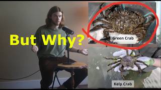 People Can't Identify Green Crabs