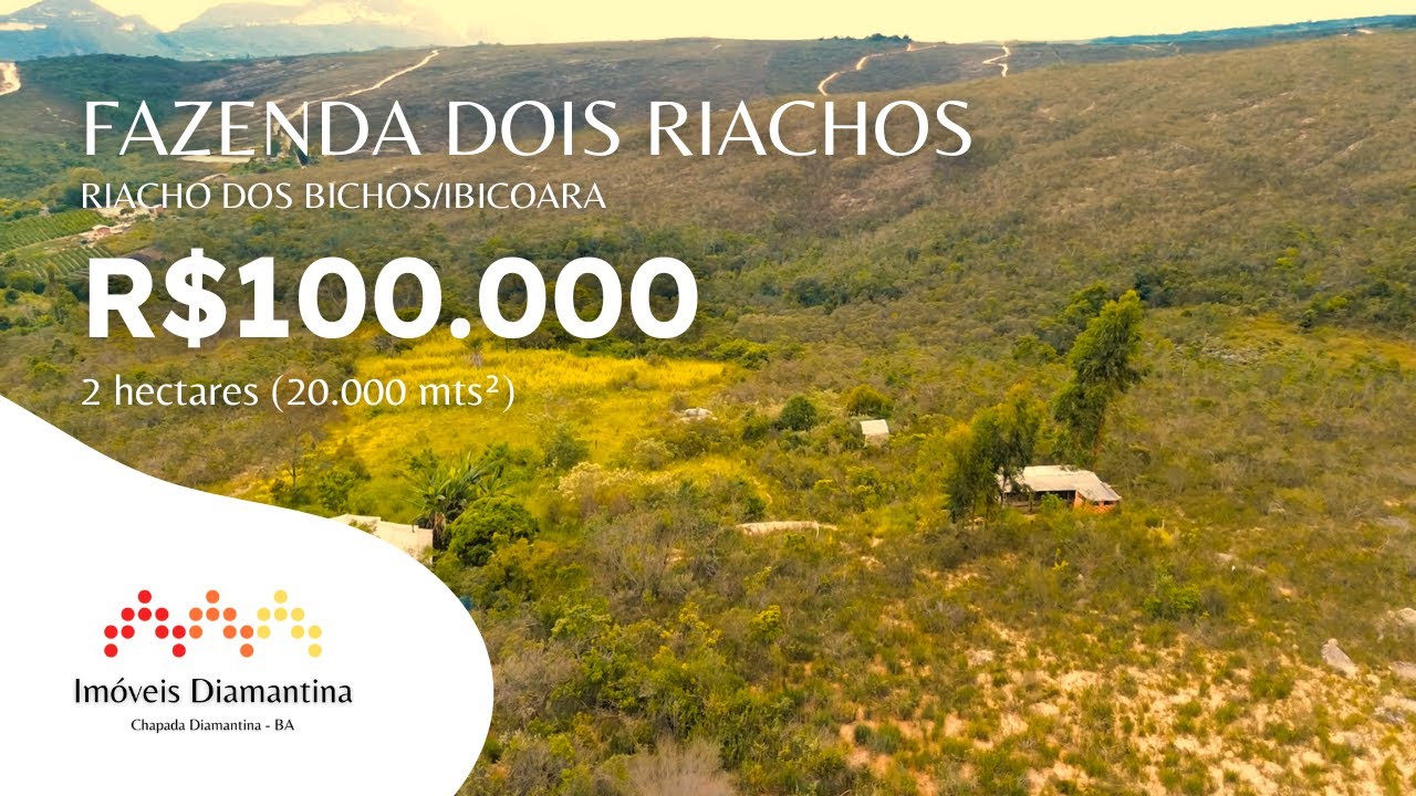 #117 Fazenda Dois Riachos R$100.000