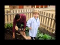 Els alumnes de 1R de CI Plantem faves a l'hort de l'escola