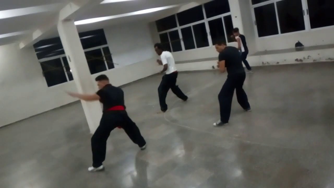 Professional Cuban Choy Lee Fut Kung Fu Sifu Yonieddy Pupo´s Training ...