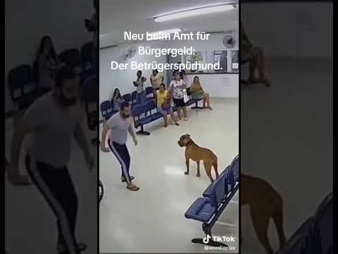 Beste Hunderasse ever. 🥰👍