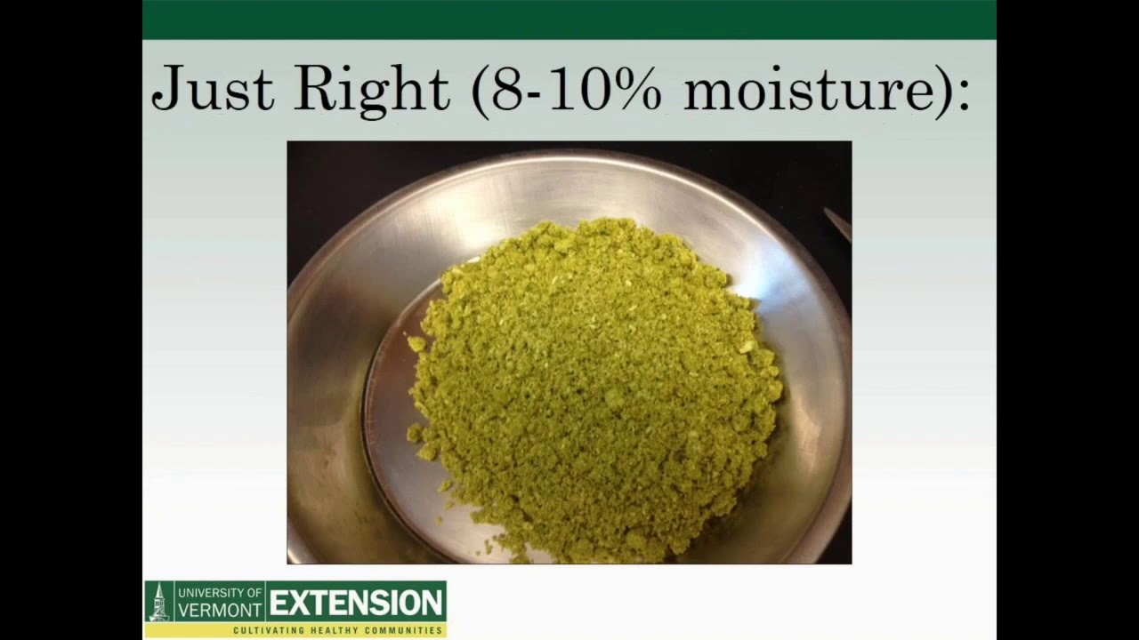 Vermont Hops Power Hour, 09.25.2017, Hop Quality, End of Season Observations