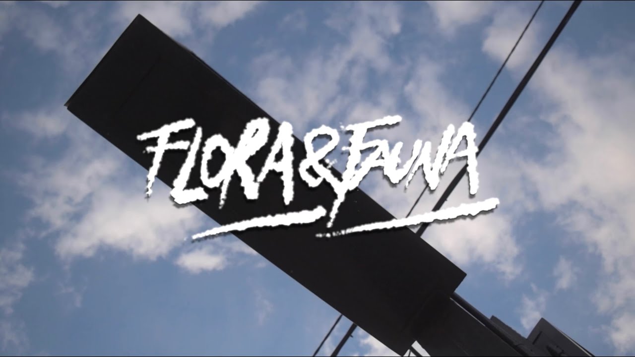 Baltassar - Flora Y Fauna (Video)