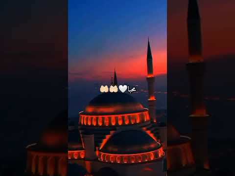 حالات واتس اب اناشيد ياطيبة جئتك صبا