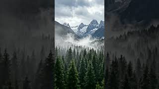 Heavy rain over the mountain forest 🌧️ Cinematic Relaxing ASMR #rain #nature