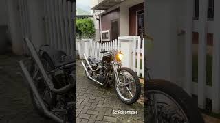 🐎🦅🏍 #harleydavidson #harleyaudio #harley #chopperstyle #motorcycle #custom #bobber