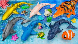 [toys asmr] Zuru Robo Alive White Shark, Dolphin, Turtle &amp; Fish ASMR 🐠 Review Toys