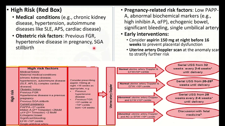 2024   Investigation and Care of SGA & FGR (Green-top Guideline No. 31)