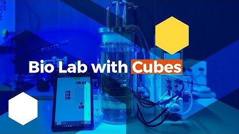 🟡 Bio Lab with Cubes | Digital Lab