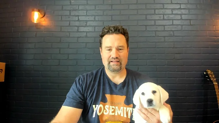 Should You Remove your Puppies Dew Claws?