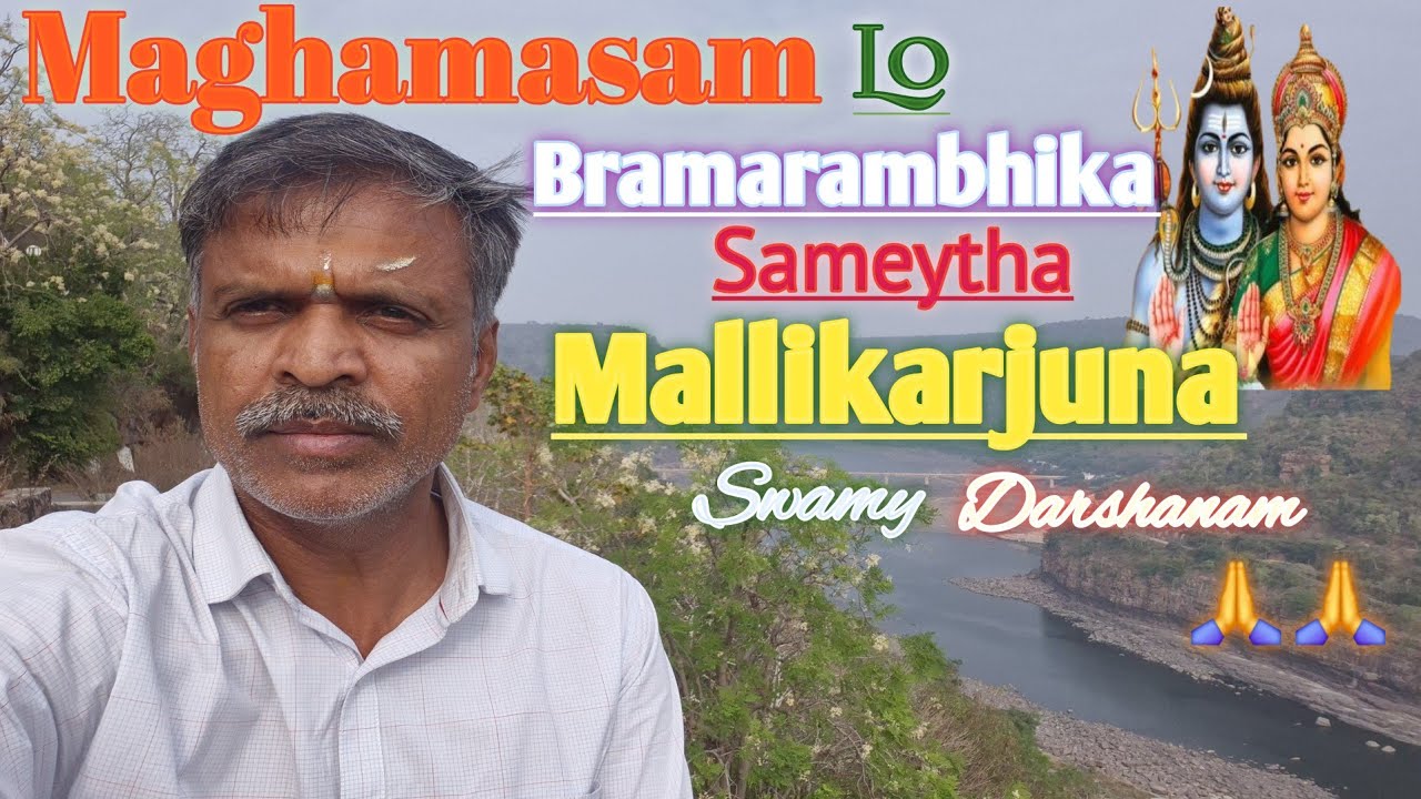 Maghamasam Lo Bramarambika Sameytha Mallikarjuna Swamy Darshanam 🙏🙏