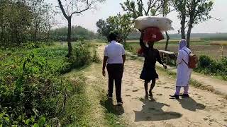 চলো ঘুরে আসি মেহেরপুরের মুজিবনগর থেকে।Let's Go To Meherpur Mujibnagar Bangladesh screenshot 5