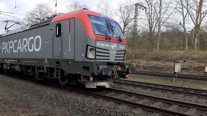 Siemens Vectron MS "EU46-501" "193-501" PKP CARGO Containerzug / intermodal train