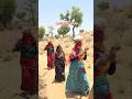 थार डेजर्ट का जीवन #villagelife #desertlife #rajasthanicluture #ytshorts #feed #kisan #viral #deshi