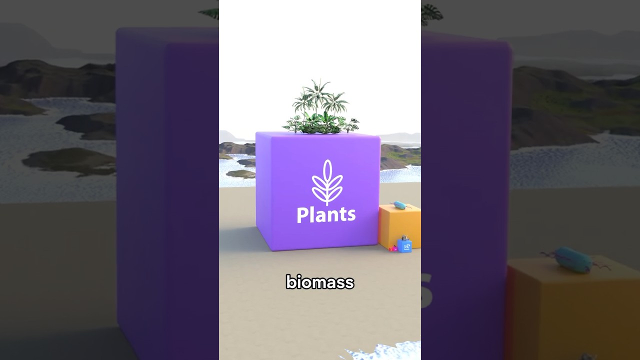 Comparing All The Mass On Earth