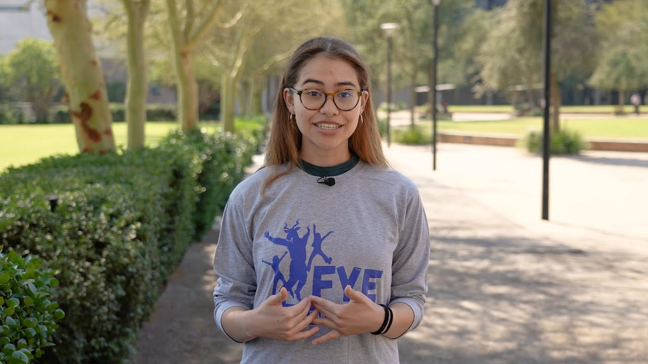 First Year Experience | Mentorship programme