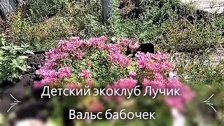 Детский экоклуб *Лучик*.   Вальс бабочек