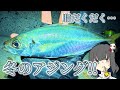 初冬に釣れるアジが美味すぎる!!【ギガアジ討伐編その1】