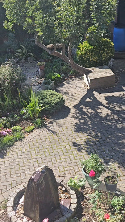garden #Sabaisabai Style Dada #home #England