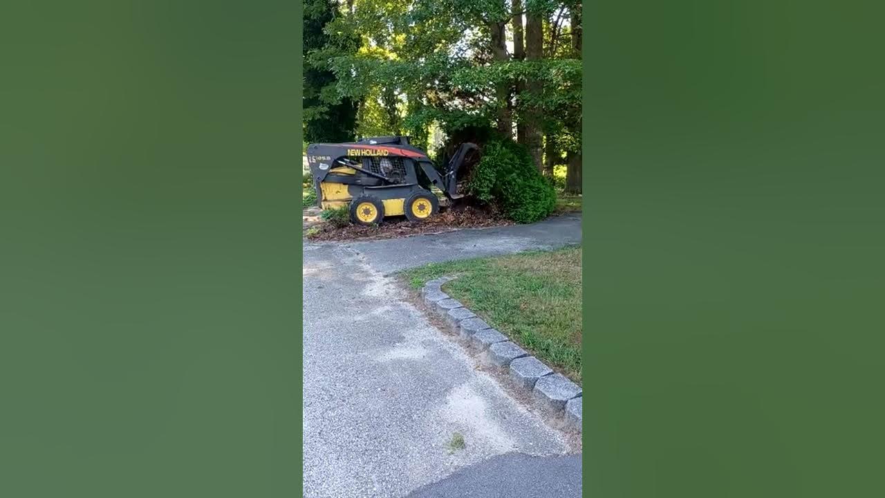 Skid Steer Removing Shrubs YouTube