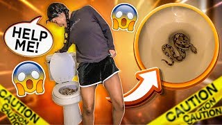 SNAKE IN TOILET PRANK ON GIRLFRIEND!!! 😱 **BAD IDEA**