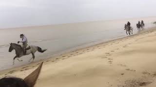 Beach Horseriding in Colonia del Sacramento