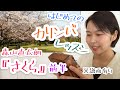森山直太朗『さくら』前半 カリンバ初心者のためのレッスン♪譜面がなくても弾ける!