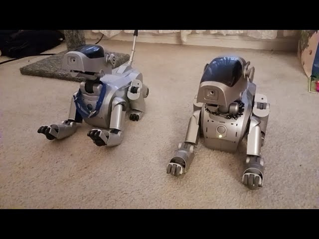 ウォーリー Ultimate Wall-E at My Home - YouTube